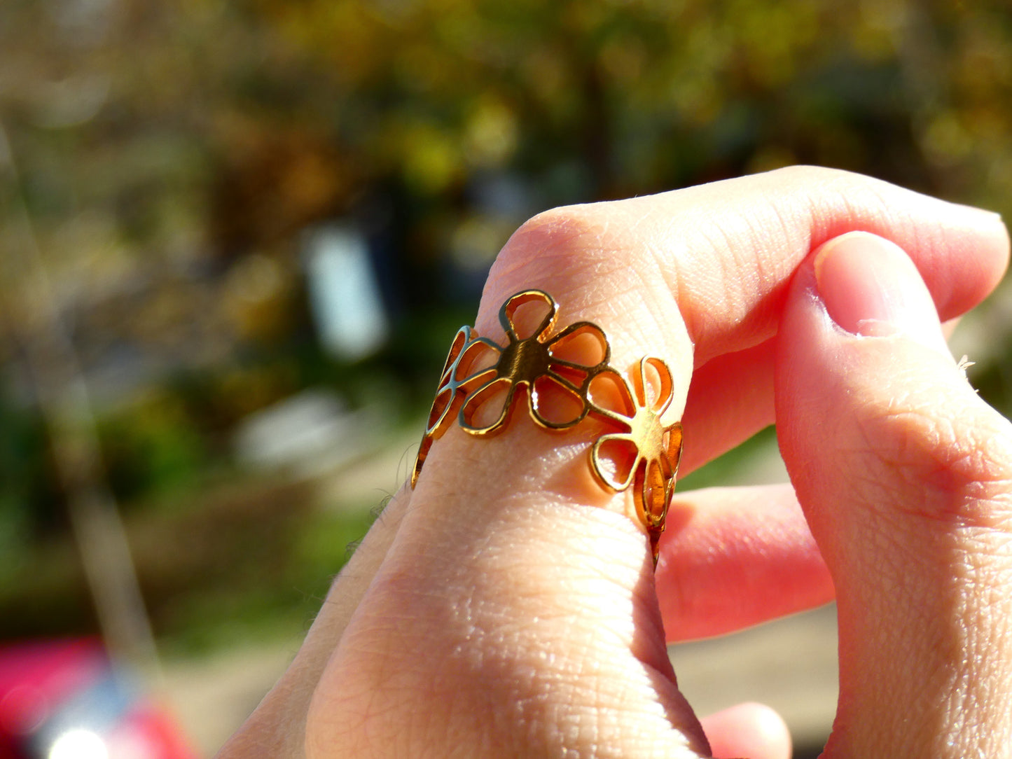 Anillo Flores